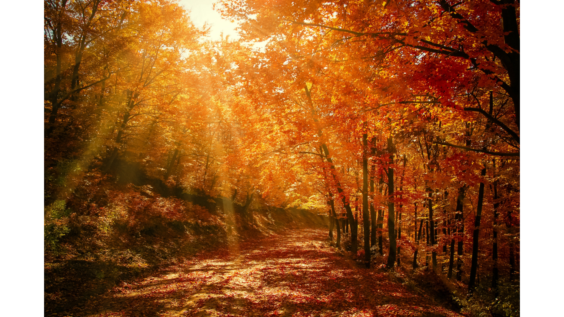 Herbst