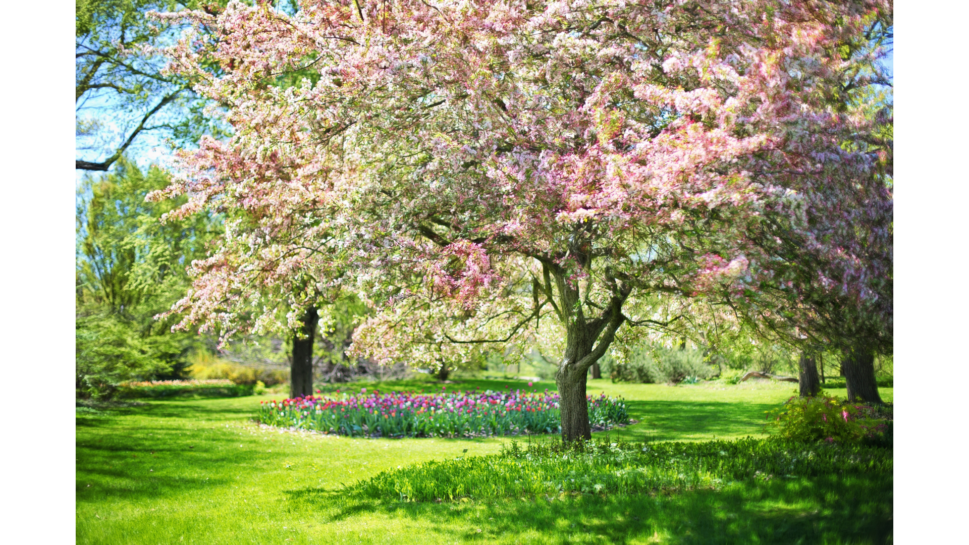 Frühling