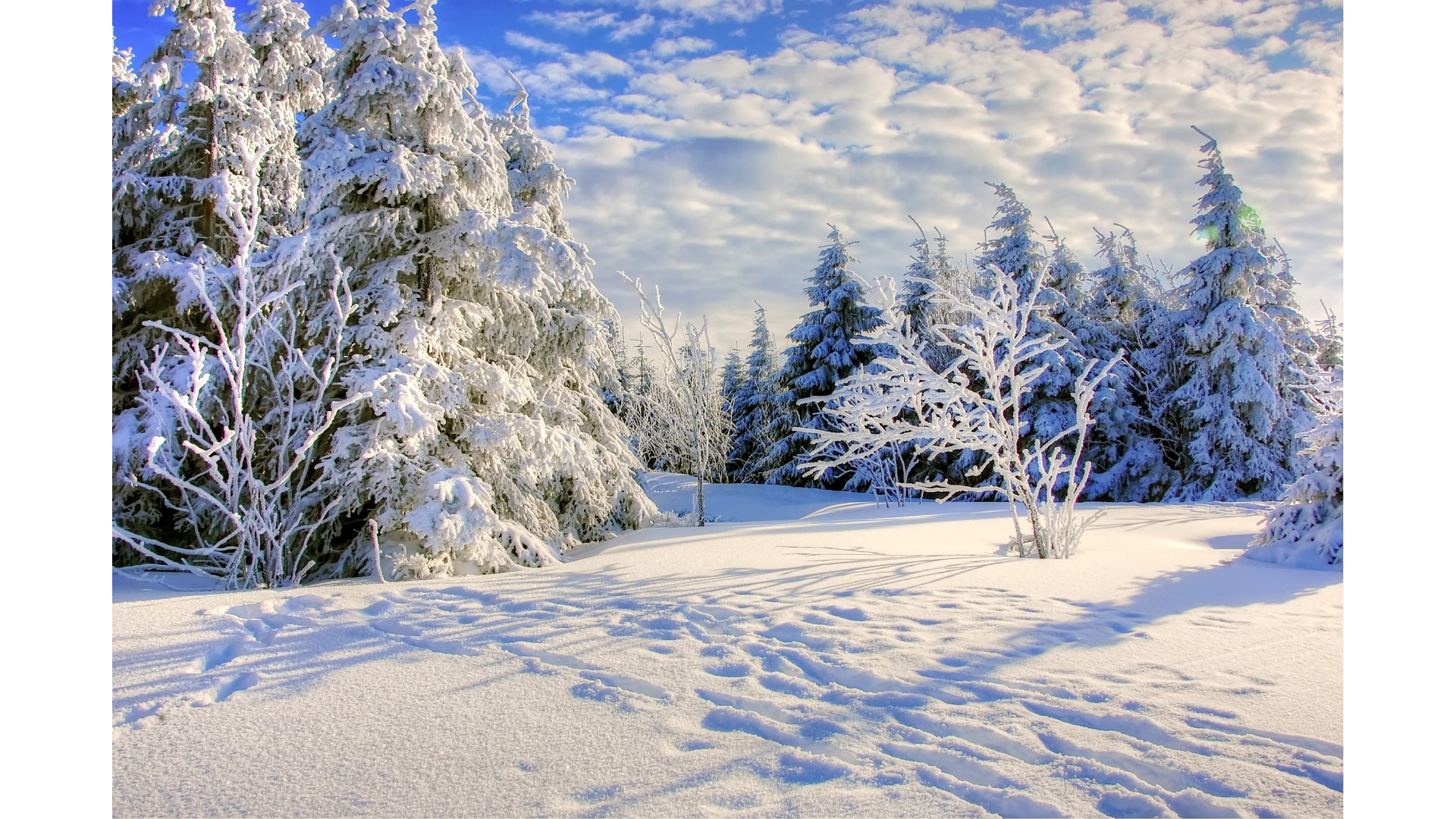 Winter